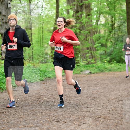 19.04.2026 - Hammer Lauf Dr. Thomas Lammeyer http://msf.ph/oto/9557225 19.04.2026 12:40:35 Laufen 997, 992 meine-sportfotos.de