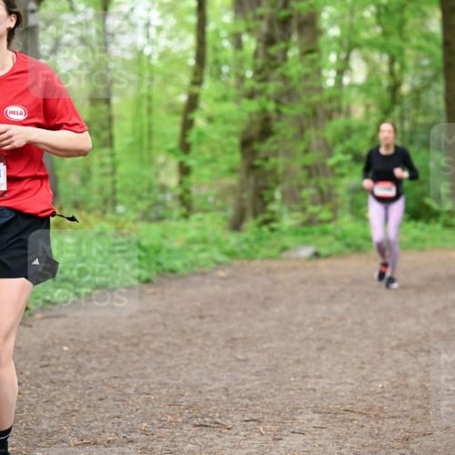 19.04.2026 - Hammer Lauf Dr. Thomas Lammeyer http://msf.ph/oto/9557233 19.04.2026 12:40:36 Laufen 992 meine-sportfotos.de