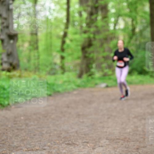 19.04.2026 - Hammer Lauf Dr. Thomas Lammeyer http://msf.ph/oto/9557235 19.04.2026 12:40:36 Laufen  meine-sportfotos.de