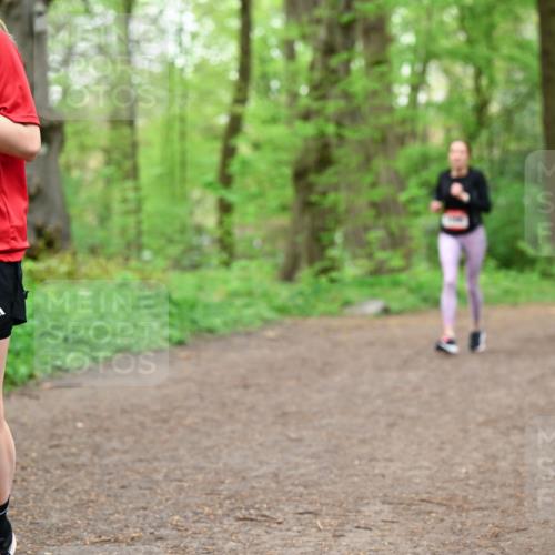 19.04.2026 - Hammer Lauf Dr. Thomas Lammeyer http://msf.ph/oto/9557236 19.04.2026 12:40:36 Laufen 992 meine-sportfotos.de