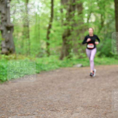 19.04.2026 - Hammer Lauf Dr. Thomas Lammeyer http://msf.ph/oto/9557238 19.04.2026 12:40:37 Laufen  meine-sportfotos.de