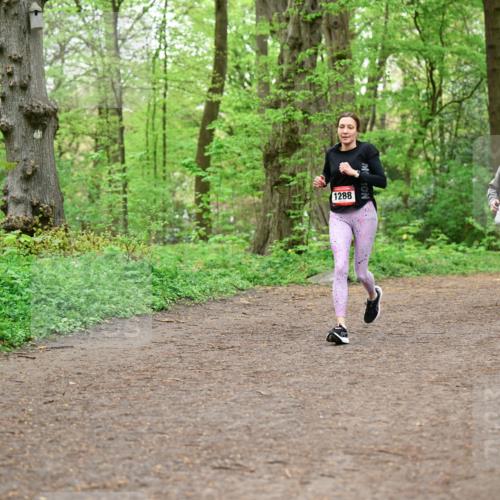 19.04.2026 - Hammer Lauf Dr. Thomas Lammeyer http://msf.ph/oto/9557240 19.04.2026 12:40:37 Laufen 1288, 1820, 1588 meine-sportfotos.de