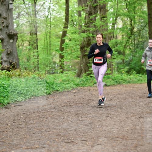 19.04.2026 - Hammer Lauf Dr. Thomas Lammeyer http://msf.ph/oto/9557241 19.04.2026 12:40:37 Laufen 1288, 1820, 1924 meine-sportfotos.de