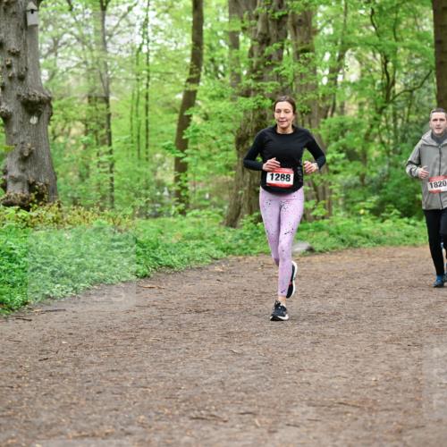 19.04.2026 - Hammer Lauf Dr. Thomas Lammeyer http://msf.ph/oto/9557242 19.04.2026 12:40:37 Laufen 1288, 1820, 1588, 1924 meine-sportfotos.de