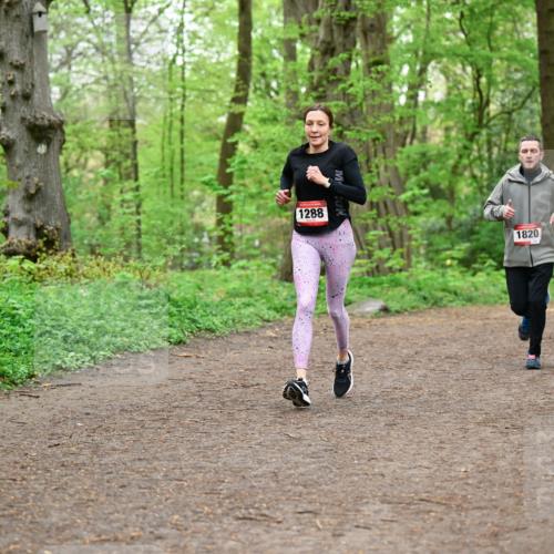 19.04.2026 - Hammer Lauf Dr. Thomas Lammeyer http://msf.ph/oto/9557243 19.04.2026 12:40:38 Laufen 1288, 1820, 1504, 1924 meine-sportfotos.de