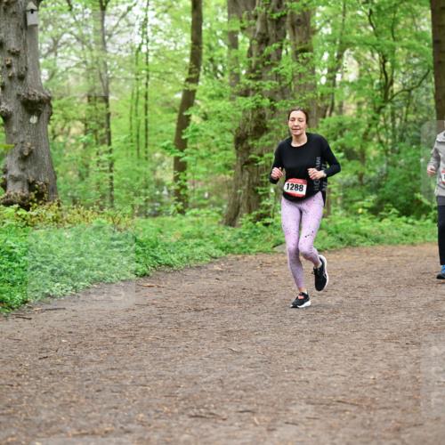 19.04.2026 - Hammer Lauf Dr. Thomas Lammeyer http://msf.ph/oto/9557244 19.04.2026 12:40:37 Laufen 1288, 1820, 1924 meine-sportfotos.de