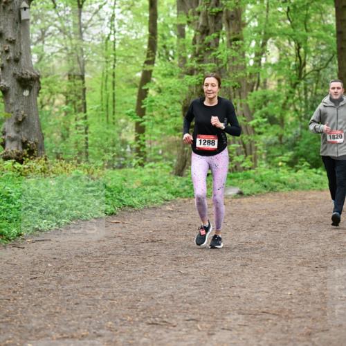 19.04.2026 - Hammer Lauf Dr. Thomas Lammeyer http://msf.ph/oto/9557245 19.04.2026 12:40:38 Laufen 1820, 1288, 1924 meine-sportfotos.de