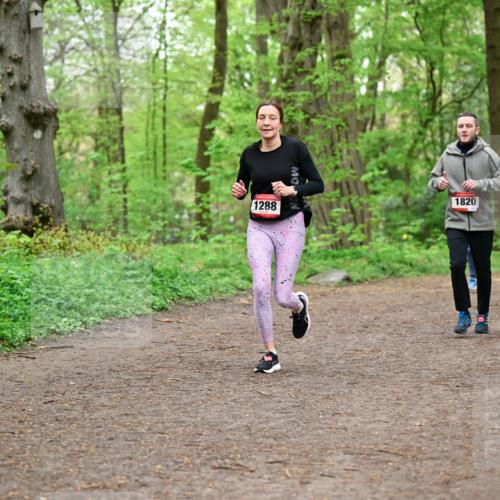 19.04.2026 - Hammer Lauf Dr. Thomas Lammeyer http://msf.ph/oto/9557246 19.04.2026 12:40:38 Laufen 1288, 1820, 1929 meine-sportfotos.de