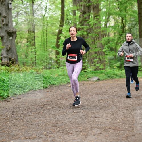19.04.2026 - Hammer Lauf Dr. Thomas Lammeyer http://msf.ph/oto/9557247 19.04.2026 12:40:38 Laufen 1288, 1820 meine-sportfotos.de