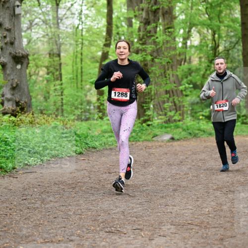 19.04.2026 - Hammer Lauf Dr. Thomas Lammeyer http://msf.ph/oto/9557248 19.04.2026 12:40:38 Laufen 1288, 1820, 1144, 1024 meine-sportfotos.de