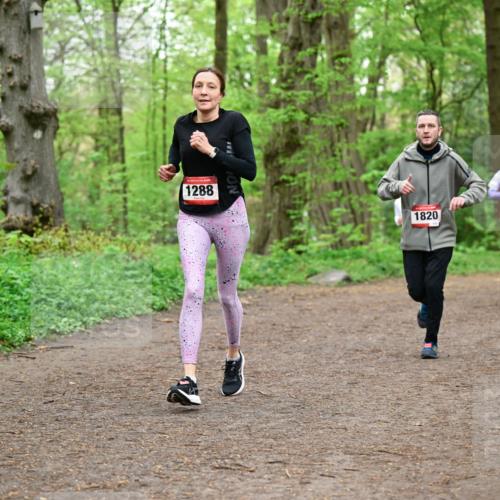 19.04.2026 - Hammer Lauf Dr. Thomas Lammeyer http://msf.ph/oto/9557249 19.04.2026 12:40:38 Laufen 1288, 1820 meine-sportfotos.de