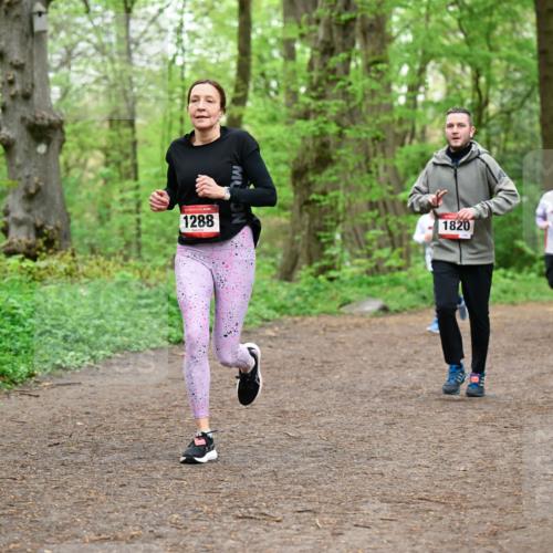 19.04.2026 - Hammer Lauf Dr. Thomas Lammeyer http://msf.ph/oto/9557250 19.04.2026 12:40:39 Laufen 1288, 1820, 1644, 1924 meine-sportfotos.de