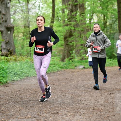 19.04.2026 - Hammer Lauf Dr. Thomas Lammeyer http://msf.ph/oto/9557251 19.04.2026 12:40:39 Laufen 1288 meine-sportfotos.de