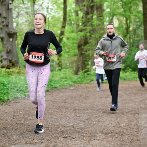 19.04.2026 - Hammer Lauf Dr. Thomas Lammeyer http://msf.ph/oto/9557252 19.04.2026 12:40:39 Laufen 1288, 1820 meine-sportfotos.de