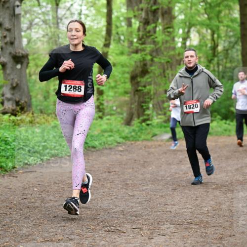 19.04.2026 - Hammer Lauf Dr. Thomas Lammeyer http://msf.ph/oto/9557253 19.04.2026 12:40:39 Laufen 1288, 1820 meine-sportfotos.de