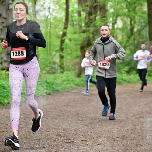 19.04.2026 - Hammer Lauf Dr. Thomas Lammeyer http://msf.ph/oto/9557254 19.04.2026 12:40:39 Laufen 1288, 1820 meine-sportfotos.de