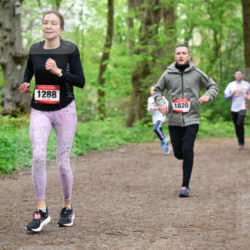 19.04.2026 - Hammer Lauf Dr. Thomas Lammeyer http://msf.ph/oto/9557255 19.04.2026 12:40:39 Laufen 1288, 1820 meine-sportfotos.de
