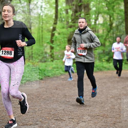 19.04.2026 - Hammer Lauf Dr. Thomas Lammeyer http://msf.ph/oto/9557256 19.04.2026 12:40:39 Laufen 1288, 1820 meine-sportfotos.de