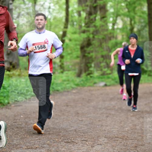 19.04.2026 - Hammer Lauf Dr. Thomas Lammeyer http://msf.ph/oto/9557280 19.04.2026 12:40:43 Laufen 1924, 1588 meine-sportfotos.de
