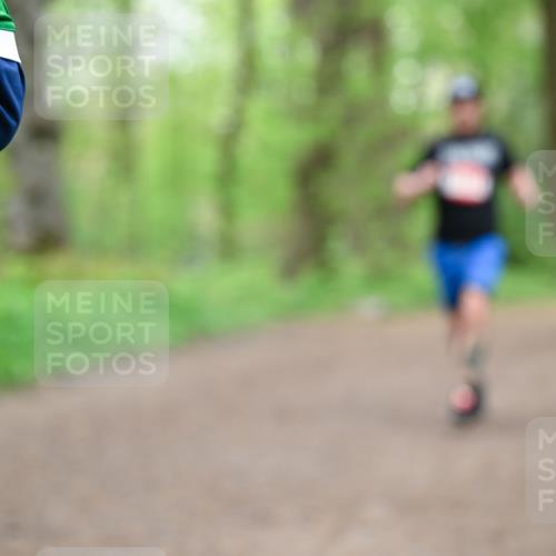 19.04.2026 - Hammer Lauf Dr. Thomas Lammeyer http://msf.ph/oto/9557326 19.04.2026 12:40:50 Laufen  meine-sportfotos.de