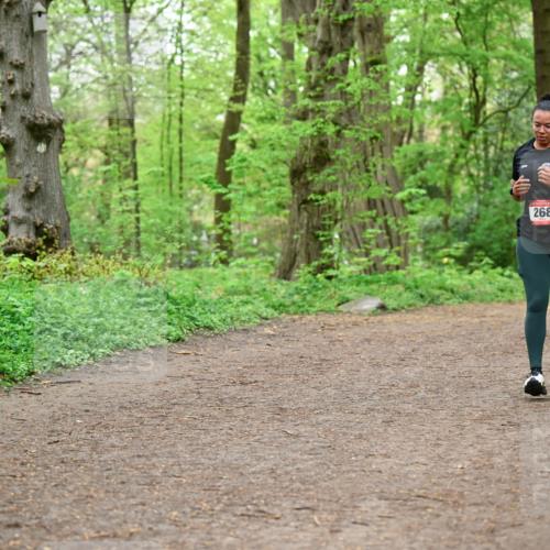 19.04.2026 - Hammer Lauf Dr. Thomas Lammeyer http://msf.ph/oto/9557342 19.04.2026 12:40:53 Laufen 268 meine-sportfotos.de