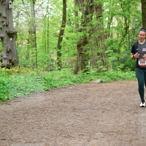 19.04.2026 - Hammer Lauf Dr. Thomas Lammeyer http://msf.ph/oto/9557344 19.04.2026 12:40:53 Laufen 268 meine-sportfotos.de