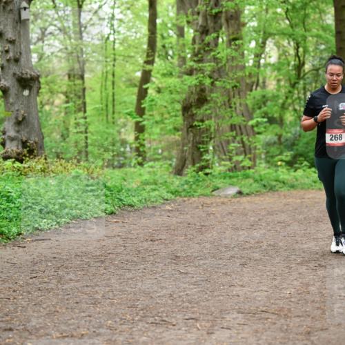 19.04.2026 - Hammer Lauf Dr. Thomas Lammeyer http://msf.ph/oto/9557345 19.04.2026 12:40:53 Laufen 268 meine-sportfotos.de