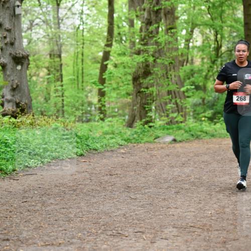 19.04.2026 - Hammer Lauf Dr. Thomas Lammeyer http://msf.ph/oto/9557346 19.04.2026 12:40:53 Laufen 268 meine-sportfotos.de