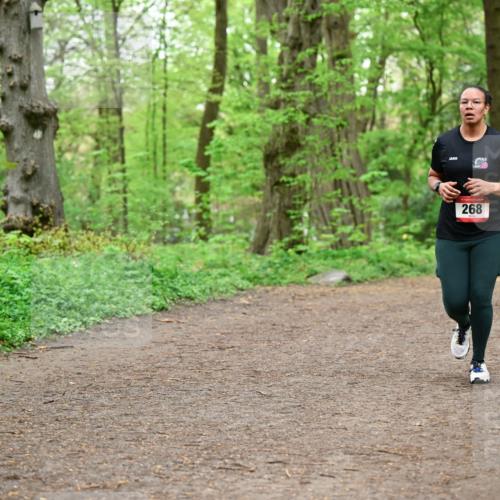 19.04.2026 - Hammer Lauf Dr. Thomas Lammeyer http://msf.ph/oto/9557348 19.04.2026 12:40:53 Laufen 268 meine-sportfotos.de