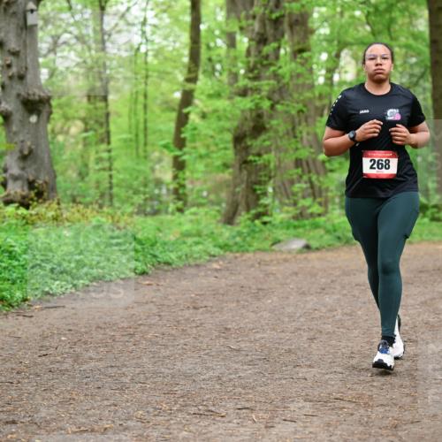 19.04.2026 - Hammer Lauf Dr. Thomas Lammeyer http://msf.ph/oto/9557350 19.04.2026 12:40:54 Laufen 268 meine-sportfotos.de