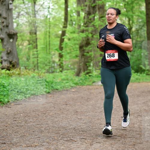 19.04.2026 - Hammer Lauf Dr. Thomas Lammeyer http://msf.ph/oto/9557354 19.04.2026 12:40:54 Laufen 268 meine-sportfotos.de