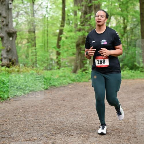 19.04.2026 - Hammer Lauf Dr. Thomas Lammeyer http://msf.ph/oto/9557355 19.04.2026 12:40:54 Laufen 268 meine-sportfotos.de