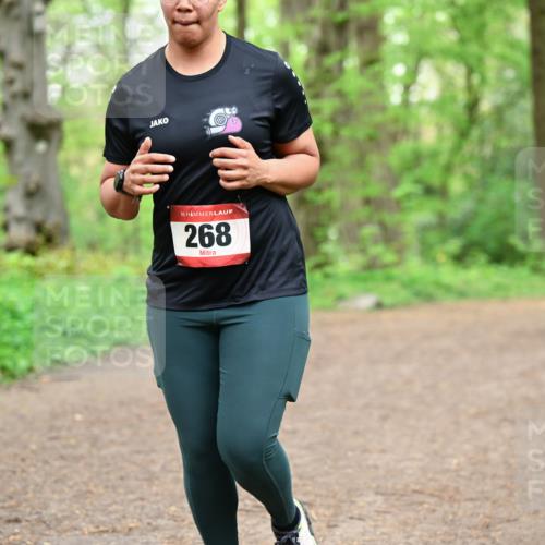 19.04.2026 - Hammer Lauf Dr. Thomas Lammeyer http://msf.ph/oto/9557361 19.04.2026 12:40:55 Laufen 268 meine-sportfotos.de