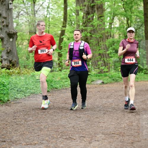 19.04.2026 - Hammer Lauf Dr. Thomas Lammeyer http://msf.ph/oto/9557402 19.04.2026 12:41:11 Laufen 2015, 201, 444, 202, 336 meine-sportfotos.de