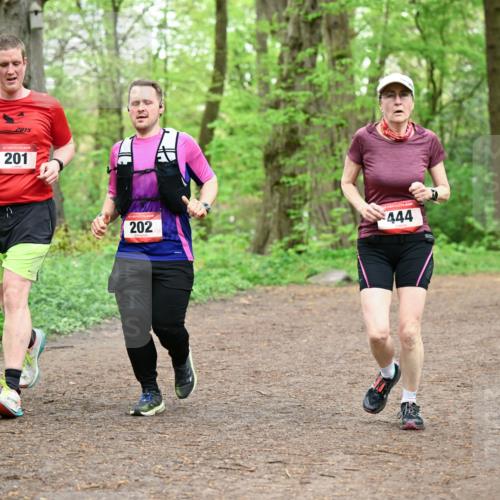 19.04.2026 - Hammer Lauf Dr. Thomas Lammeyer http://msf.ph/oto/9557409 19.04.2026 12:41:12 Laufen 2015, 201, 202, 444, 336 meine-sportfotos.de