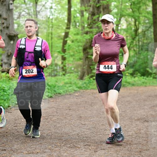 19.04.2026 - Hammer Lauf Dr. Thomas Lammeyer http://msf.ph/oto/9557415 19.04.2026 12:41:12 Laufen 2015, 201, 202, 444, 336 meine-sportfotos.de