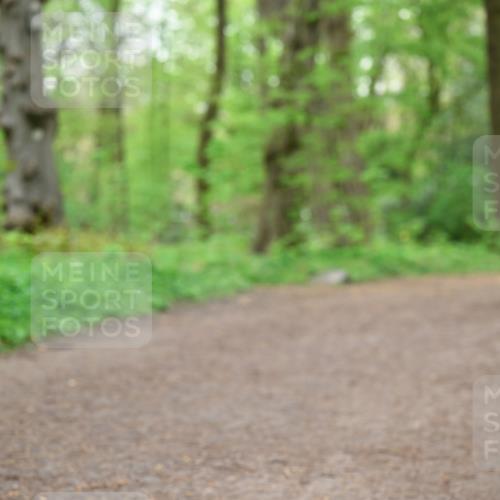 19.04.2026 - Hammer Lauf Dr. Thomas Lammeyer http://msf.ph/oto/9557432 19.04.2026 12:41:15 Laufen  meine-sportfotos.de