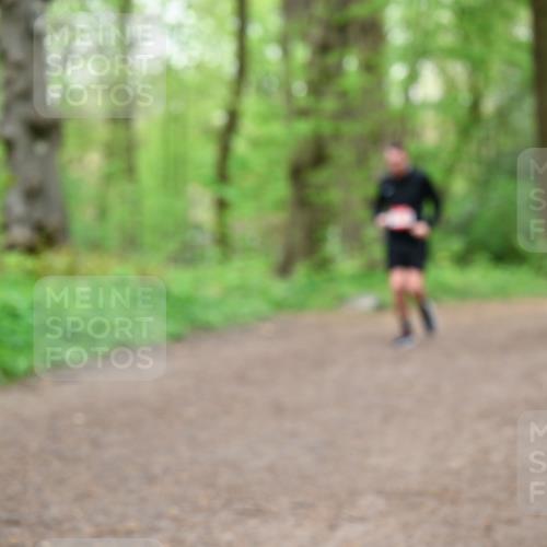 19.04.2026 - Hammer Lauf Dr. Thomas Lammeyer http://msf.ph/oto/9557454 19.04.2026 12:41:38 Laufen  meine-sportfotos.de