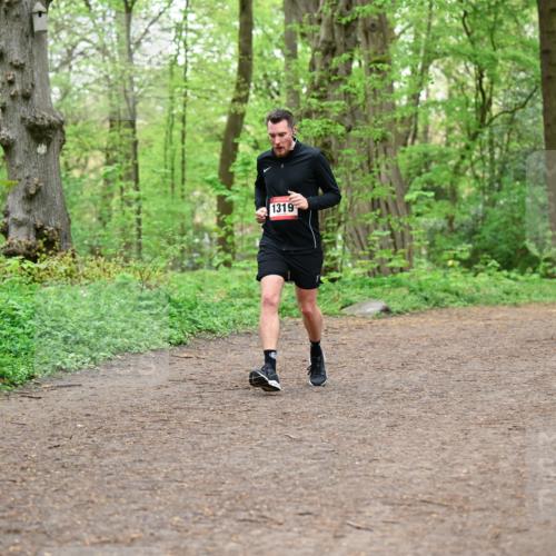 19.04.2026 - Hammer Lauf Dr. Thomas Lammeyer http://msf.ph/oto/9557461 19.04.2026 12:41:39 Laufen 1319 meine-sportfotos.de