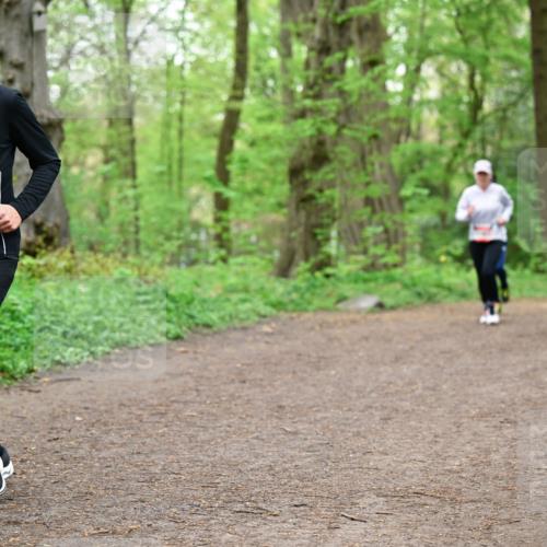 19.04.2026 - Hammer Lauf Dr. Thomas Lammeyer http://msf.ph/oto/9557474 19.04.2026 12:41:41 Laufen 1319 meine-sportfotos.de