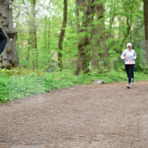 19.04.2026 - Hammer Lauf Dr. Thomas Lammeyer http://msf.ph/oto/9557475 19.04.2026 12:41:41 Laufen 1319 meine-sportfotos.de