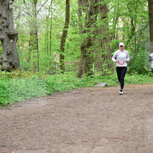 19.04.2026 - Hammer Lauf Dr. Thomas Lammeyer http://msf.ph/oto/9557477 19.04.2026 12:41:42 Laufen 1167, 1143, 1906 meine-sportfotos.de