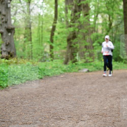 19.04.2026 - Hammer Lauf Dr. Thomas Lammeyer http://msf.ph/oto/9557478 19.04.2026 12:41:41 Laufen  meine-sportfotos.de