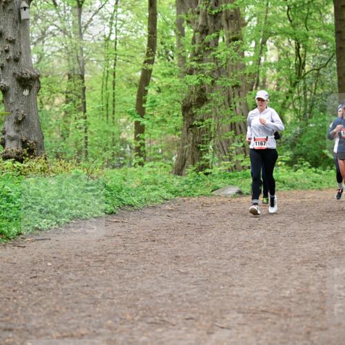 19.04.2026 - Hammer Lauf Dr. Thomas Lammeyer http://msf.ph/oto/9557479 19.04.2026 12:41:42 Laufen 1906, 1143, 1167 meine-sportfotos.de