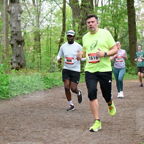 19.04.2026 - Hammer Lauf Dr. Thomas Lammeyer http://msf.ph/oto/9557516 19.04.2026 12:41:48 Laufen 988, 1616, 1931 meine-sportfotos.de