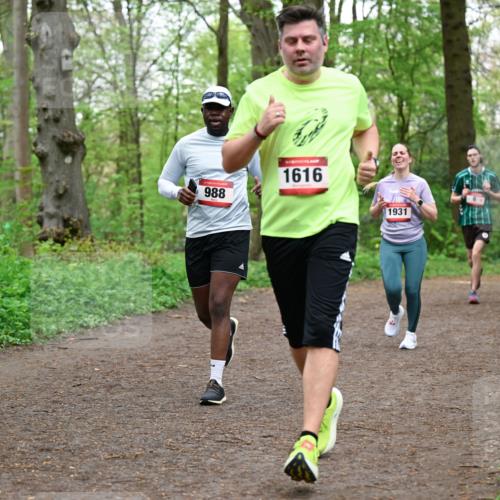 19.04.2026 - Hammer Lauf Dr. Thomas Lammeyer http://msf.ph/oto/9557518 19.04.2026 12:41:48 Laufen 988, 1616, 1931, 1715 meine-sportfotos.de