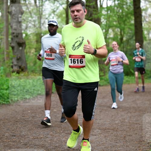 19.04.2026 - Hammer Lauf Dr. Thomas Lammeyer http://msf.ph/oto/9557519 19.04.2026 12:41:48 Laufen 988, 1616, 1931 meine-sportfotos.de
