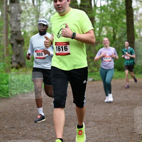 19.04.2026 - Hammer Lauf Dr. Thomas Lammeyer http://msf.ph/oto/9557520 19.04.2026 12:41:48 Laufen 988, 1616 meine-sportfotos.de
