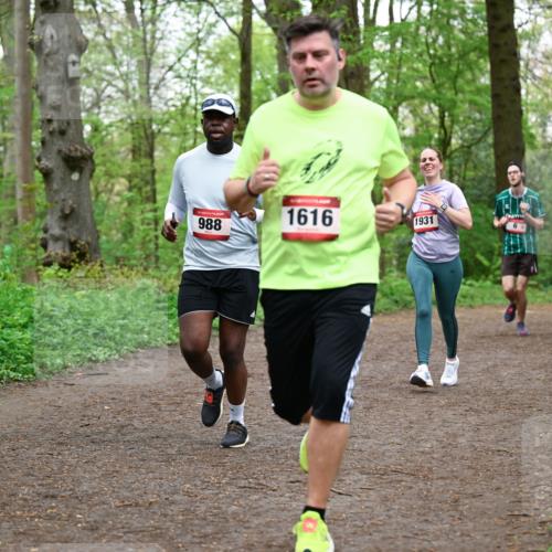 19.04.2026 - Hammer Lauf Dr. Thomas Lammeyer http://msf.ph/oto/9557522 19.04.2026 12:41:48 Laufen 988, 1616, 1931, 1715 meine-sportfotos.de