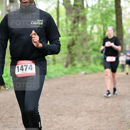 19.04.2026 - Hammer Lauf Dr. Thomas Lammeyer http://msf.ph/oto/9557647 19.04.2026 12:42:08 Laufen 1474 meine-sportfotos.de